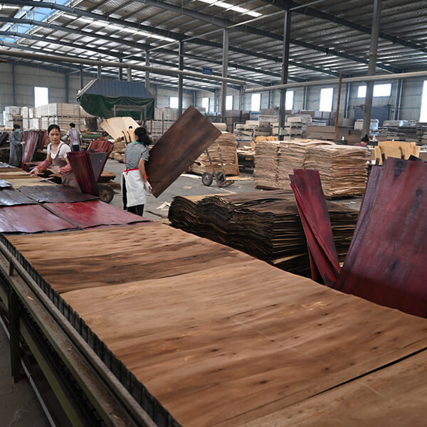 veneer combination